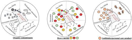 Recent advancement in microplastic removal process from wastewater - A critical review