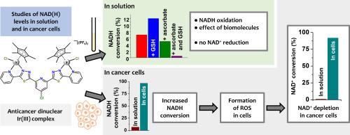 Anticancer dinuclear Ir(III) complex activates Nrf2 and interferes with NAD(H) in cancer cells