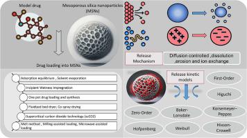 Drug loading methods and kinetic release models using of mesoporous silica nanoparticles as a drug delivery system: A review