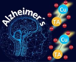 Synthesis and characterization of tannic acid–copper complex: A promising anticholinesterase drug