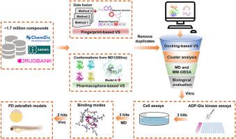 Discovery of potent LRRK2 inhibitors by ensemble virtual screening strategy and bioactivity evaluation