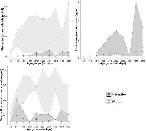 Complex ontogeny of sexual size dimorphism in a female-larger gecko: Implications of determinate growth for lizard body size and life-history evolution