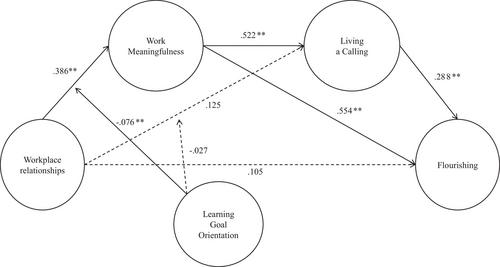 Workplace relationships and flourishing: a moderated mediation model of work meaningfulness and learning goal orientation