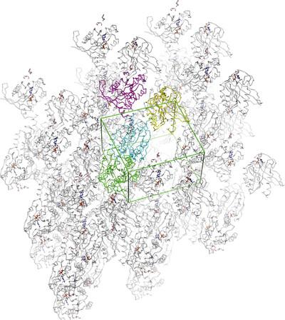 Crystal structure of the GDP-bound human M-RAS protein in two crystal forms