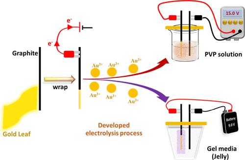Simple Synthesis of Gold Nanoparticles (AuNPs) from Gold Leaf by Electrolysis