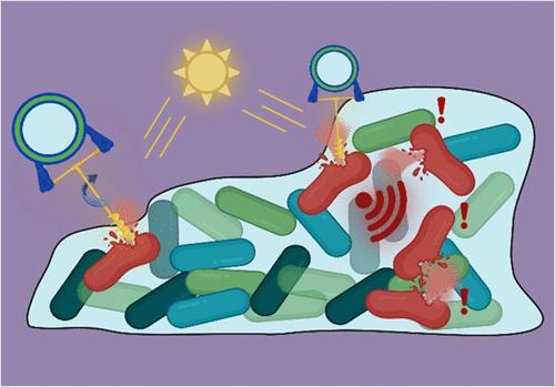 Biofilm Disruption from within: Light-Activated Molecular Drill-Functionalized Polymersomes Bridge the Gap between Membrane Damage and Quorum Sensing-Mediated Cell Death