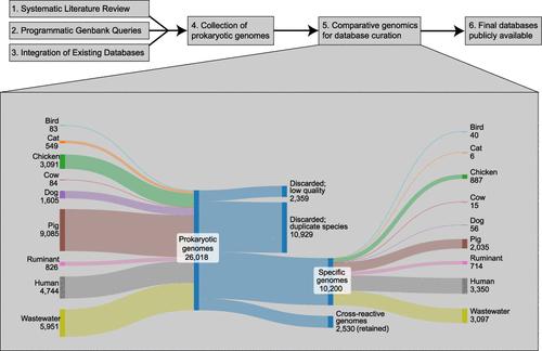 Advancing Source Tracking: Systematic Review and Source-Specific Genome Database Curation of Fecally Shed Prokaryotes