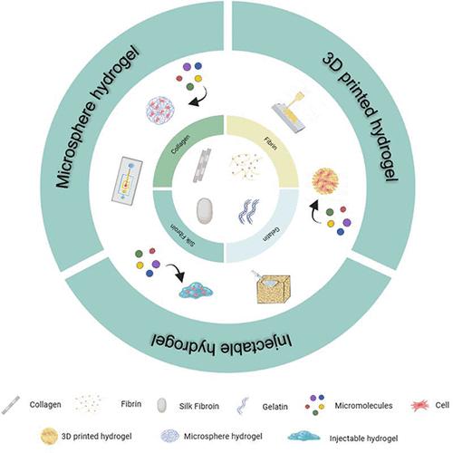 Biological Functions of Macromolecular Protein Hydrogels in Constructing Osteogenic Microenvironment