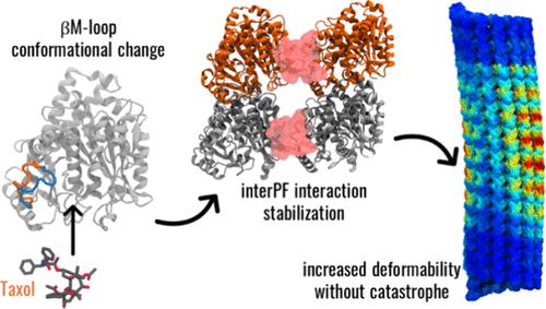 Multiscale Computational Analysis of the Effect of Taxol on Microtubule Mechanics