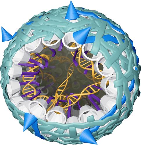 Development of an Elastin-like Polypeptide-Based Nucleic Acid Delivery System Targeted to EGFR+ Bladder Cancer Cells Using a Layer-by-Layer Approach