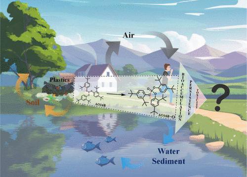 Bringing Organophosphate Ester Tris(2,4-di-tert-butylphenyl) Phosphate to the Forefront: A Hidden Threat to the Environment