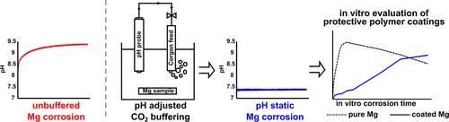 In Vitro Corrosion of Polyester-Coated Magnesium Alloy under pH-Static Conditions