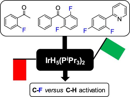 Iridium-Pentahydride Referee for Competition of Activations between C–H and C–F Bonds and between C–H Bonds Located in Different Positions