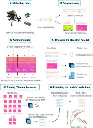 Applying machine learning to primate bioacoustics: Review and perspectives