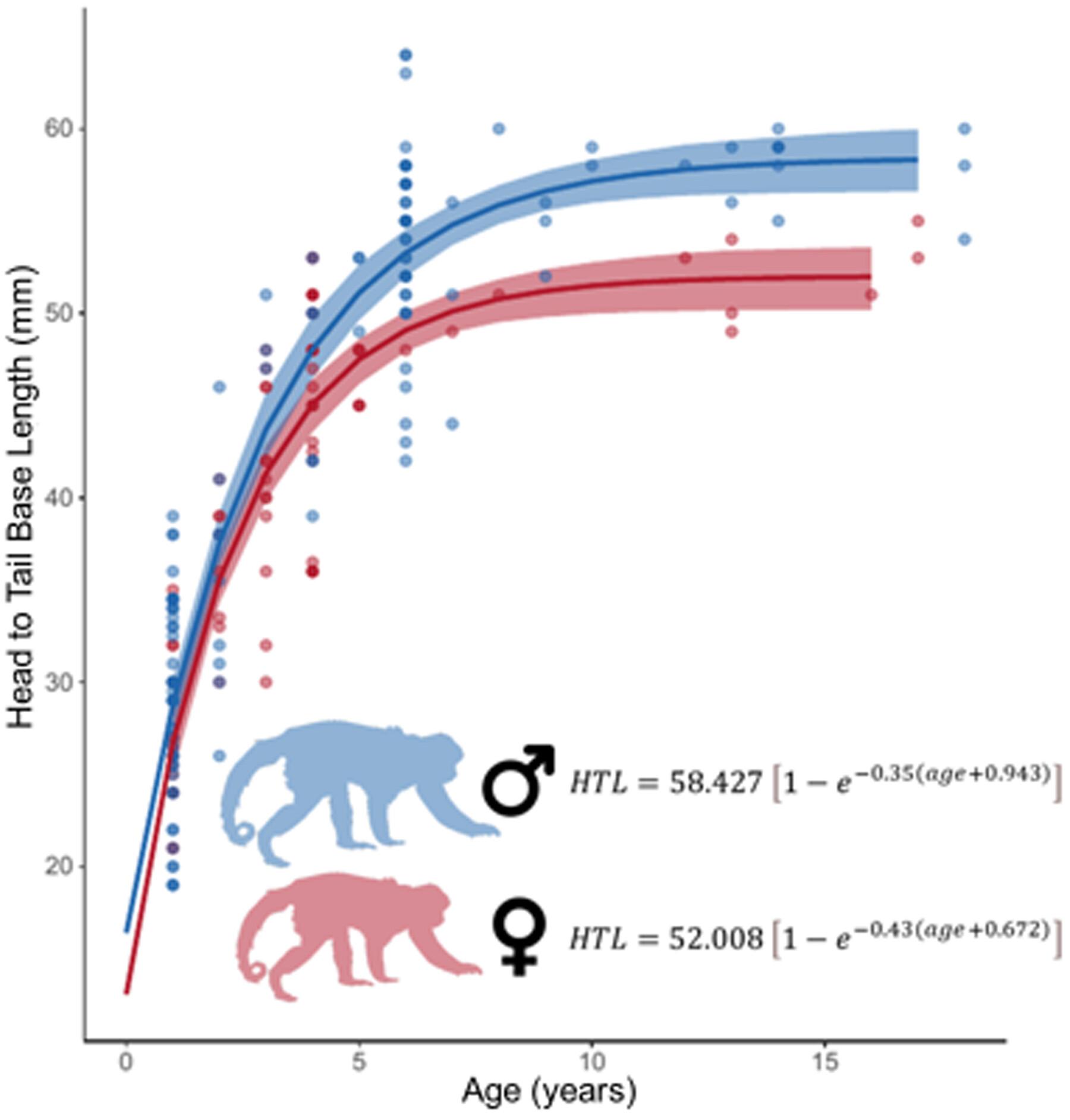 Growth and allometric curves of southern brown howler monkey (Alouatta guariba): Insights on its ontogeny and conservation