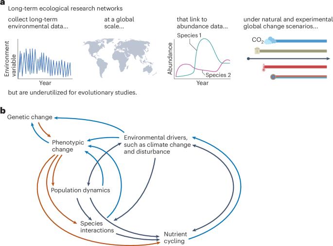 The value of long-term ecological research for evolutionary insights