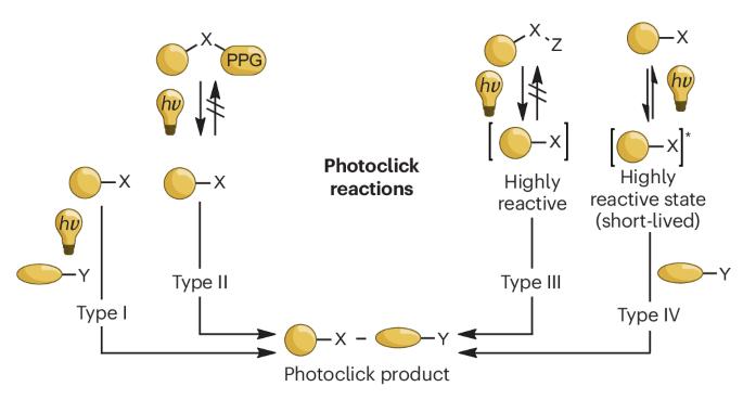 Visible and near-infrared light-induced photoclick reactions