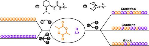Chain Shuttle between Dual Sites of a Monomolecular Organocatalyst Enables Controlled Ring-Opening Copolymerization