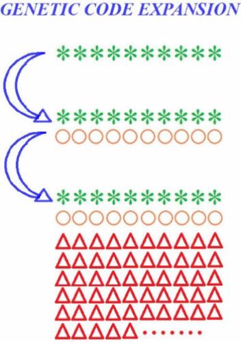 Triphasic Development of the Genetic Code