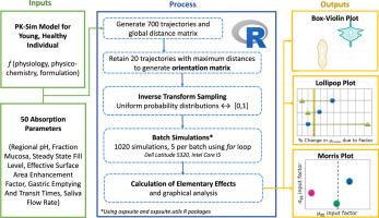 Analyzing parametric influences driving age-associated changes in absorption using a PBPK-GSA approach