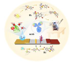 Monoclonal antibody based colloidal gold immunochromatographic assay for the visual and rapid screening of profenofos