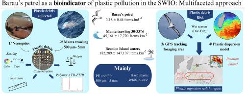 Barau's petrel, Pterodroma baraui, as a bioindicator of plastic pollution in the South-West Indian Ocean: A multifaceted approach