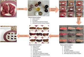 Effect of marination process with different formulation applied to beef on physio-chemical quality parameters and sensory properties of meat themed thesis