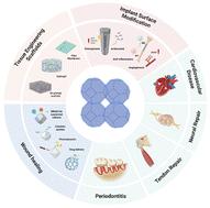 Application of metal–organic framework materials in regenerative medicine