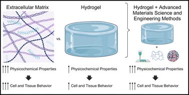 Methods to achieve tissue-mimetic physicochemical properties in hydrogels for regenerative medicine and tissue engineering