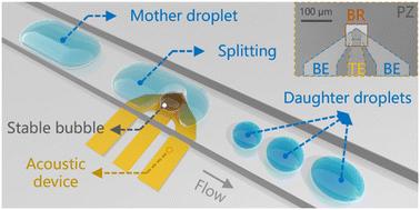 Generation, control, and application of stable bubbles in a hypersonic acoustic system†