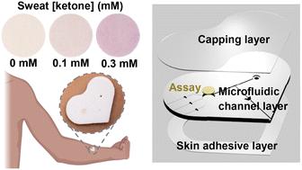 Skin-interfaced microfluidic biosensors for colorimetric measurements of the concentrations of ketones in sweat†