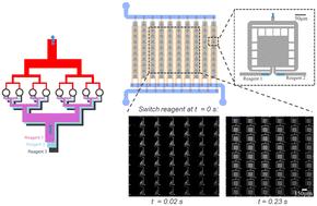 SUPERCELLS: a novel microfluidic reactor architecture for ultra-fast sequential delivery of chemical reagents†