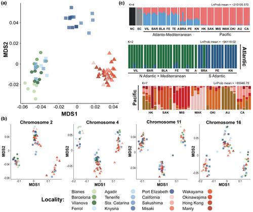 The past, the recent, and the ongoing evolutionary processes of the worldwide invasive ascidian Styela plicata