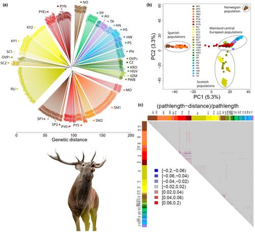 Genome-wide SNP assessment of contemporary European red deer genetic structure highlights the distinction of peripheral populations and the main admixture zones in Europe