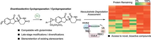 Asymmetric Dirhodium-Catalyzed Modification of Immunomodulatory Imide Drugs and Their Biological Assessment