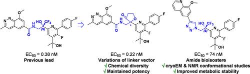 Structure–Activity Relationship of Oxacyclo- and Triazolo-Containing Respiratory Syncytial Virus Polymerase Inhibitors