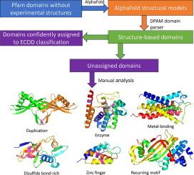 Bridging the Gap between Sequence and Structure Classifications of Proteins with AlphaFold Models