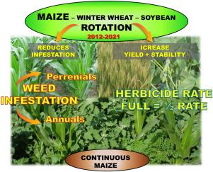 Integrated effects of crop rotation and different herbicide rates in maize (Zea mays L.) production in central Serbia