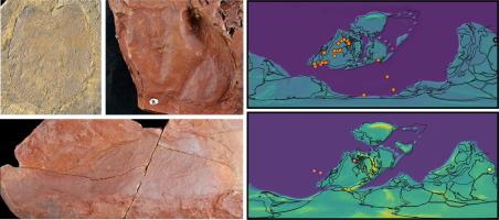 Novel pterygotid sea scorpions from the Silurian and Devonian of Gondwana