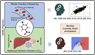 Insights into pharmacokinetic properties for exposure chemicals: predictive modelling of human plasma fraction unbound (fu) and hepatocyte intrinsic clearance (Clint) data using machine learning†