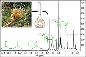 Characterization of organic species and functional groups in pollen, fungi, algae, and bacteria bioaerosols†