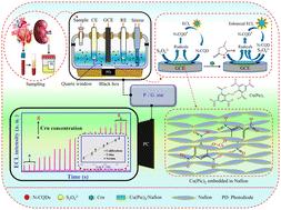 A fast and highly selective ECL creatinine sensor for diagnosis of chronic kidney disease†