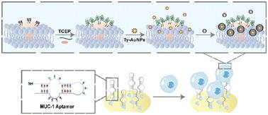 Electrochemical detection of tumor cells based on proximity labelling-assisted multiple signal amplification†