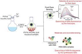 Formation of CdTe core and CdTe@ZnTe core–shell quantum dots via hydrothermal approach using dual capping agents: deciphering the food dye sensing and protein binding applications†