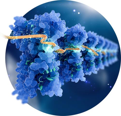 Titelbild: Unlocking Giant Third-Order Optical Nonlinearity in (MA)2CuX4 through Introducing Jahn-Teller Distortion (Angew. Chem. 38/2024)