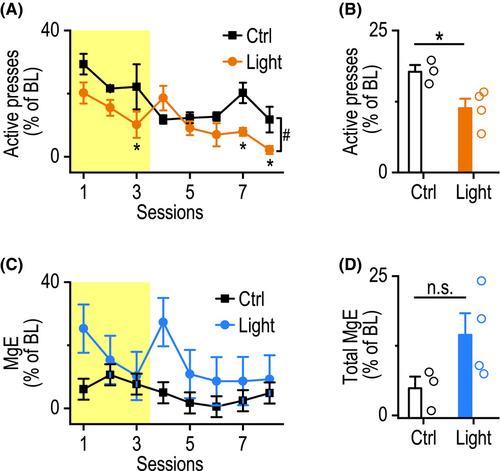 Optogenetic inhibition of light-captured alcohol-taking striatal engrams facilitates extinction and suppresses reinstatement