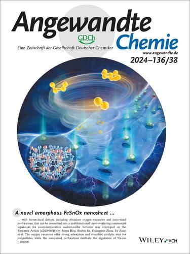 Innentitelbild: Amorphous FeSnOx Nanosheets with Hierarchical Vacancies for Room-Temperature Sodium-Sulfur Batteries (Angew. Chem. 38/2024)