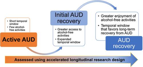 Recovery from alcohol use disorder: Reinforcer pathology theory, measurement, and methods