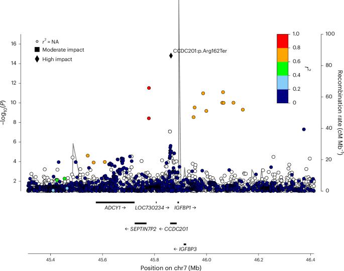 Homozygosity for a stop-gain variant in CCDC201 causes primary ovarian insufficiency