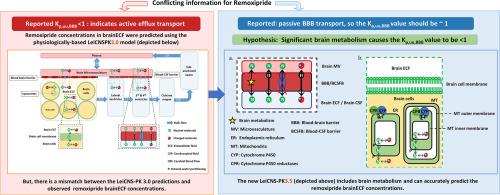 Exploring Kp,uu,BBB values smaller than unity in remoxipride: A physiologically-based CNS model approach highlighting brain metabolism in drugs with passive blood-brain barrier transport